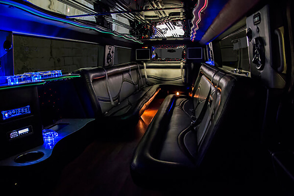 Limo Leather Seats